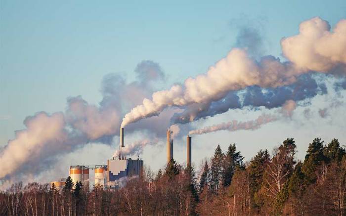 Environmental damage compensation lawyer